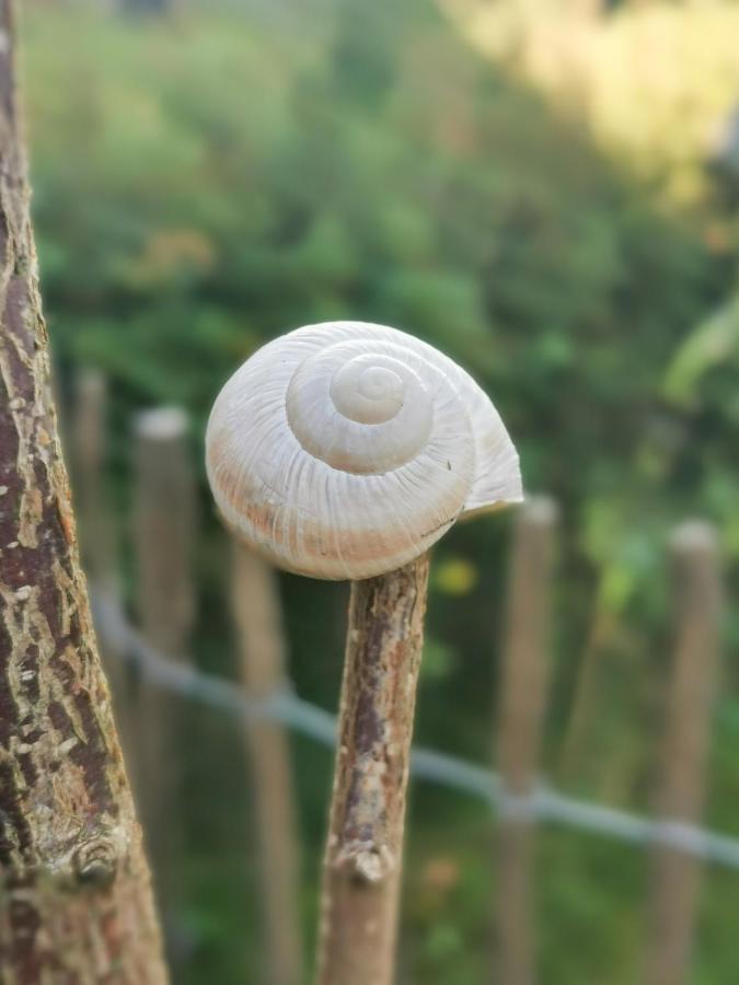 Ferienglueck An Der Nordsee Buche Deine Erdgeschoss-Ferienwohnung Mit Kamin Terrasse Und Eingezaeuntem Garten Fuer Unvergessliche Auszeiten Altfunnixsiel Экстерьер фото